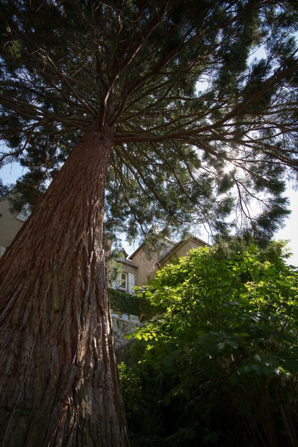 לינה וארוחת בוקר Châteauroux Le Fassardy מראה חיצוני תמונה